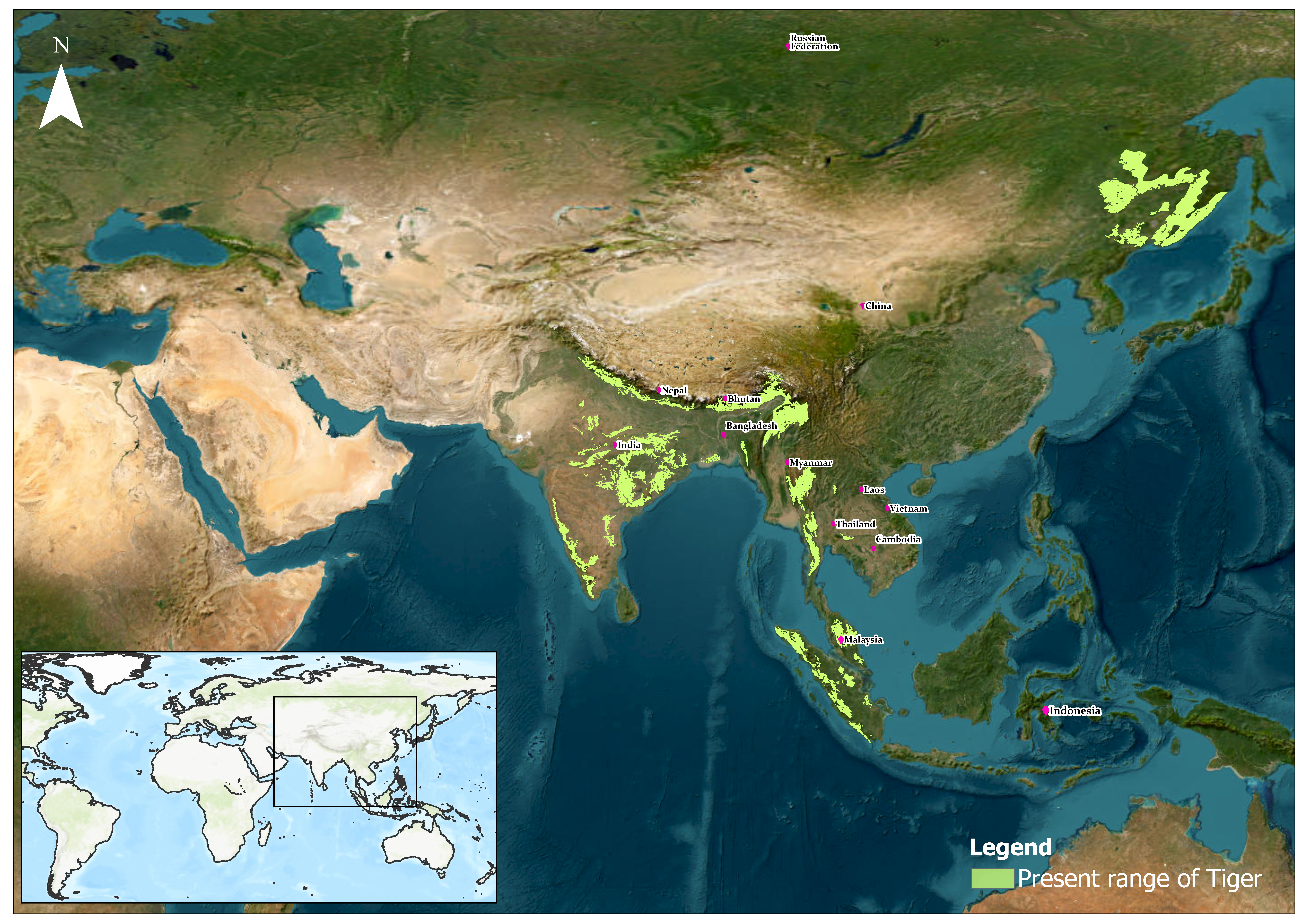 Present Distribution of Tigers